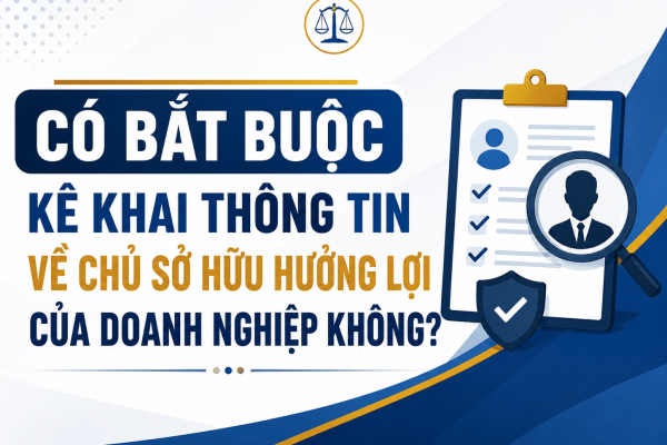 CÓ BẮT BUỘC KÊ KHAI THÔNG TIN VỀ CHỦ SỞ HỮU HƯỞNG LỢI CỦA DOANH NGHIỆP KHÔNG?